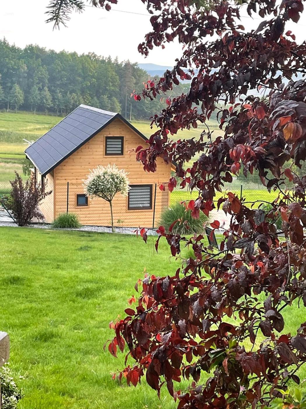 Kolodziejowo Z Jacuzzi Gory Sowie Gory Stolowe Holiday home Bozkow